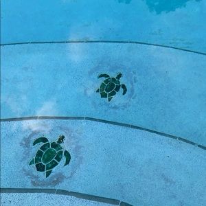 Meet your Posher, Peter